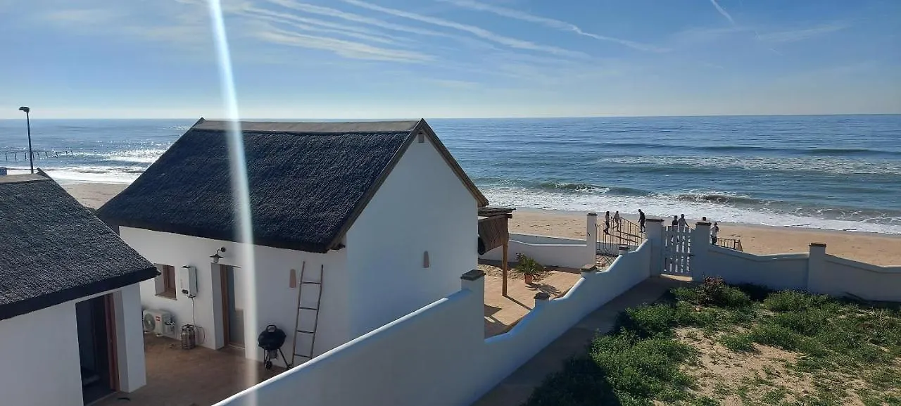 Choza De Pescadores En Donana Matalascañas Spanje